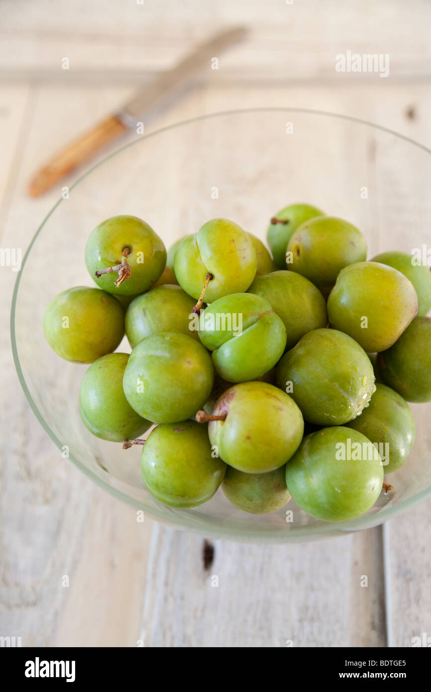 Greengages fresca in una ciotola di vetro con un rustico bianco sullo sfondo della scheda e il coltello Foto Stock
