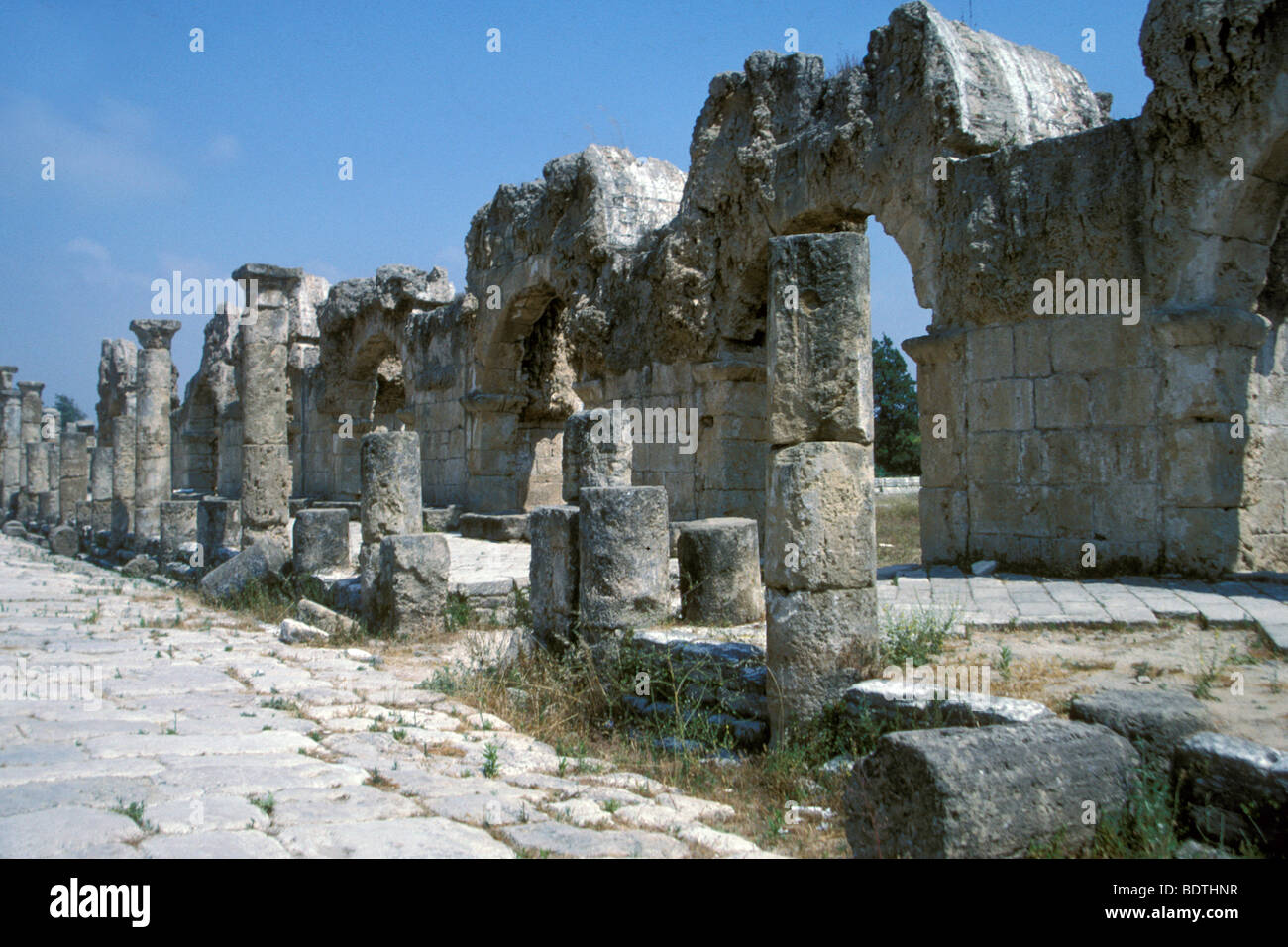 Siria, le rovine Romane di Palmyra Foto Stock