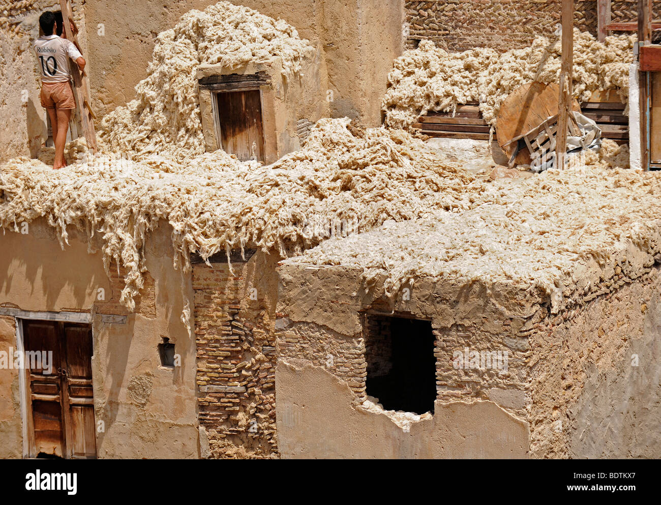 I lavoratori di una conceria al souk della medina di Fes/Fez è raffigurato il Agosto 19, 2009 in Marocco in nord Africa. Foto Stock