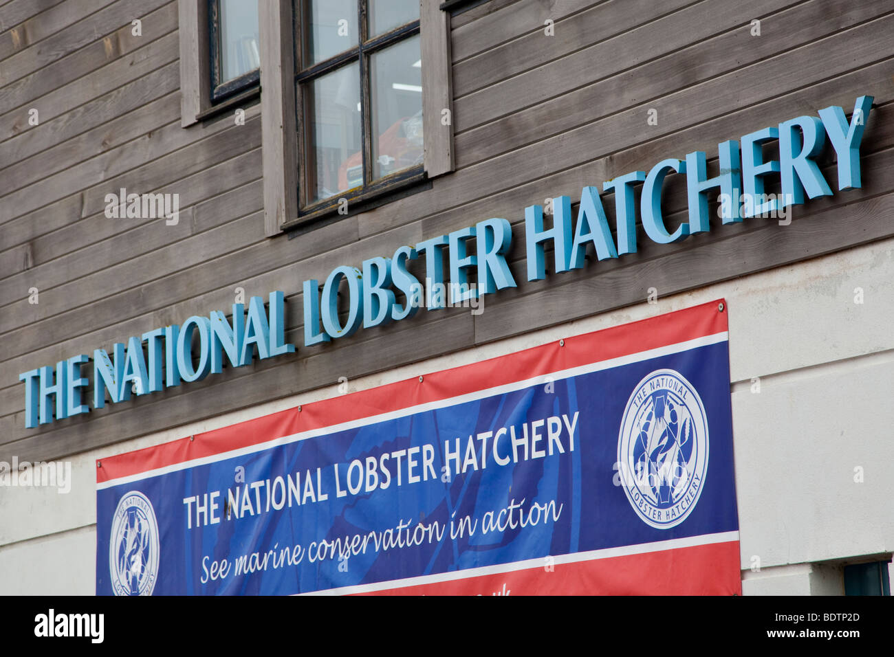 Il National Lobster Hatchery Foto Stock