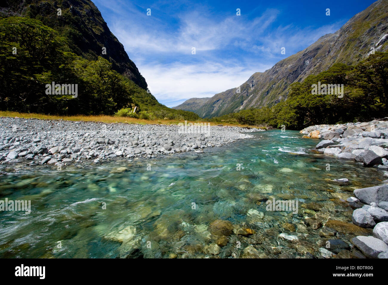 Paesaggio di montagna, Hollyford river, Fjordland National Park, Isola del Sud, Nuova Zelanda Foto Stock