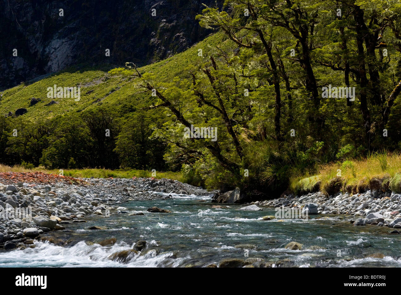 Paesaggio di montagna, Hollyford river, Fjordland National Park, Isola del Sud, Nuova Zelanda Foto Stock