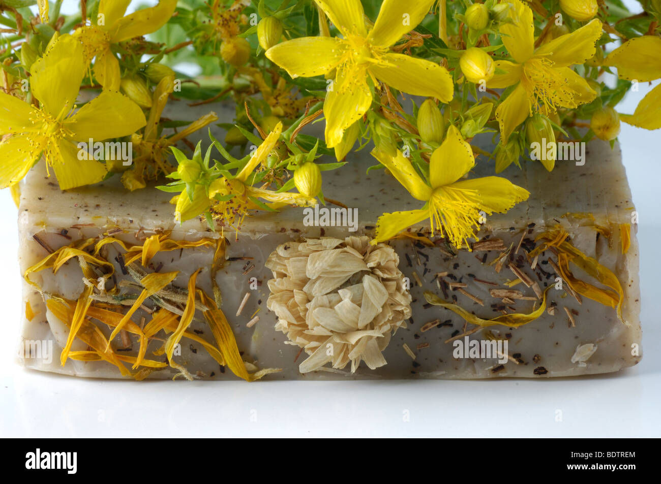 Perforare l'erba di San Giovanni il sapone, tagliate, oggetto, Hypericum perforatum, Johanniskrautseife, Johanniskraut, Freisteller, Objekt, Foto Stock