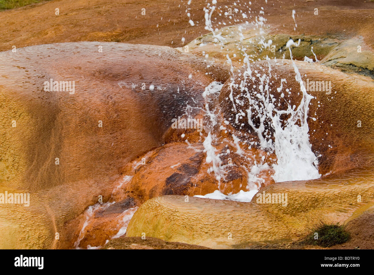 Geysir von Ampefy, Madagascar, Afrika, Madagascar, Africa, Detailaufnahme Foto Stock