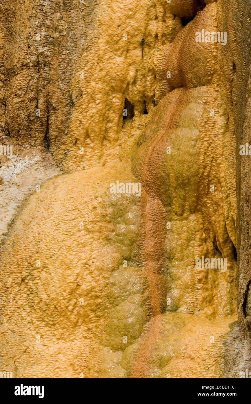 Geysir von Ampefy, Madagascar, Afrika, Madagascar, Africa, dettaglio Foto Stock