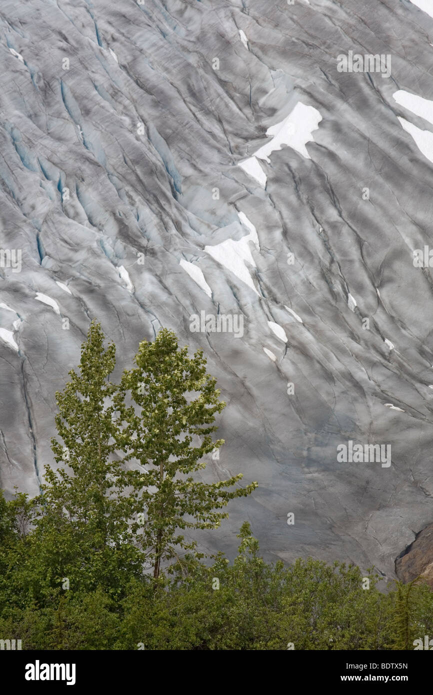 Salmon-Gletscher / Salmon-Glacier / British Columbia - Kanada Foto Stock