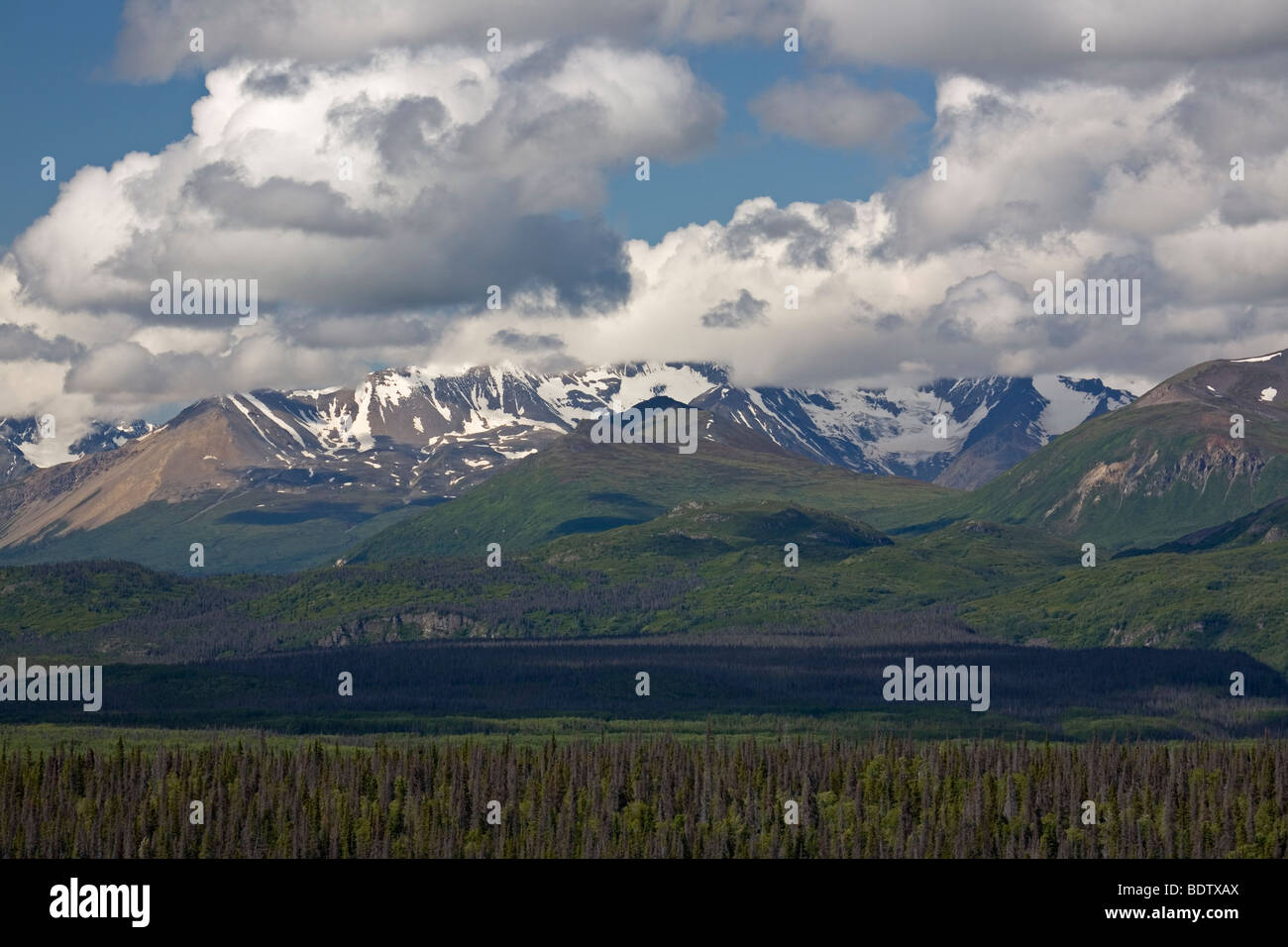 Kluane-Bergkette und Wolken / Kluane-Range e nuvole / Kluane-Nationalpark - Kanada Foto Stock