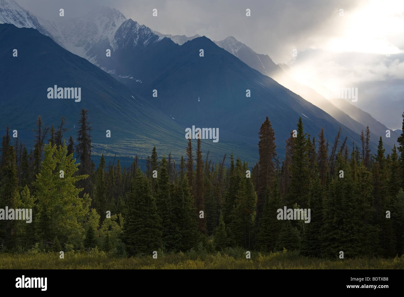 Kluane-Bergkette am Abend / Kluane-Range a sera / Kluane-Nationalpark - Kanada Foto Stock