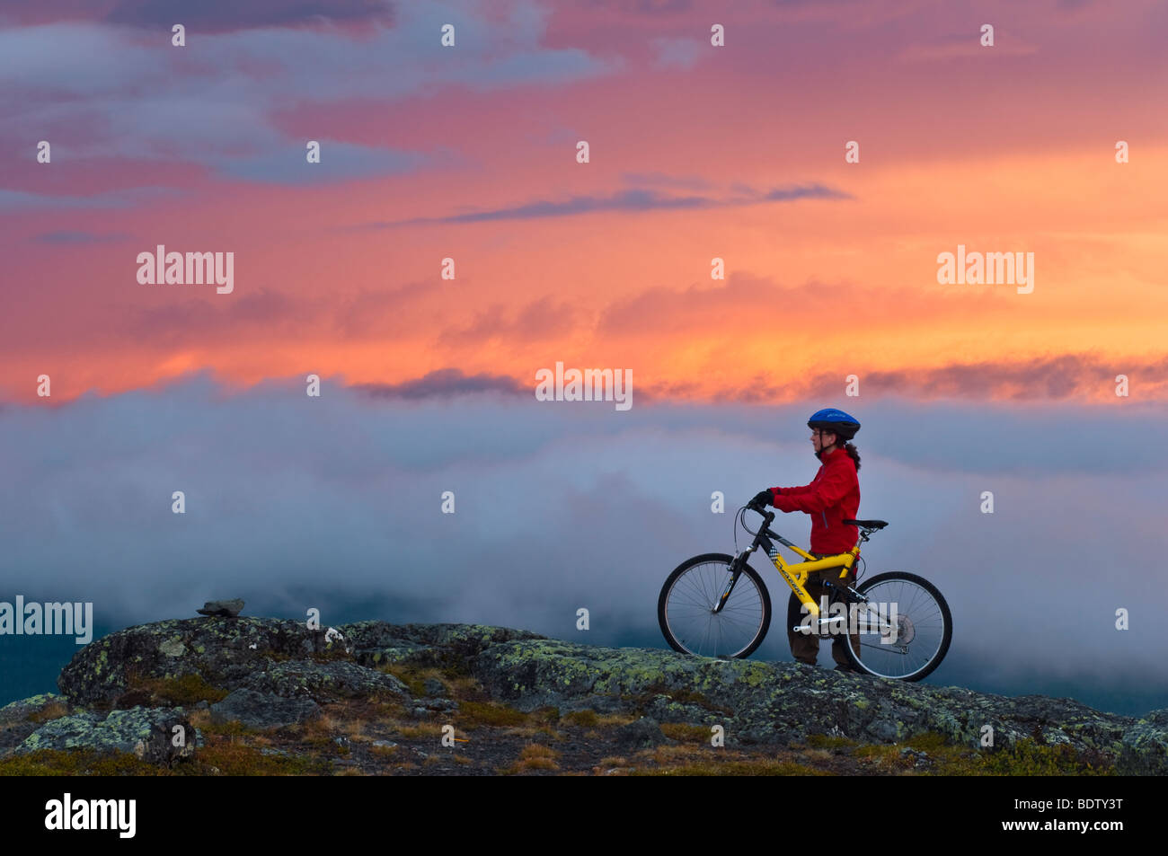 Femmina ciclista in discesa su una cima al sole di mezzanotte, Lapponia, Svezia Foto Stock
