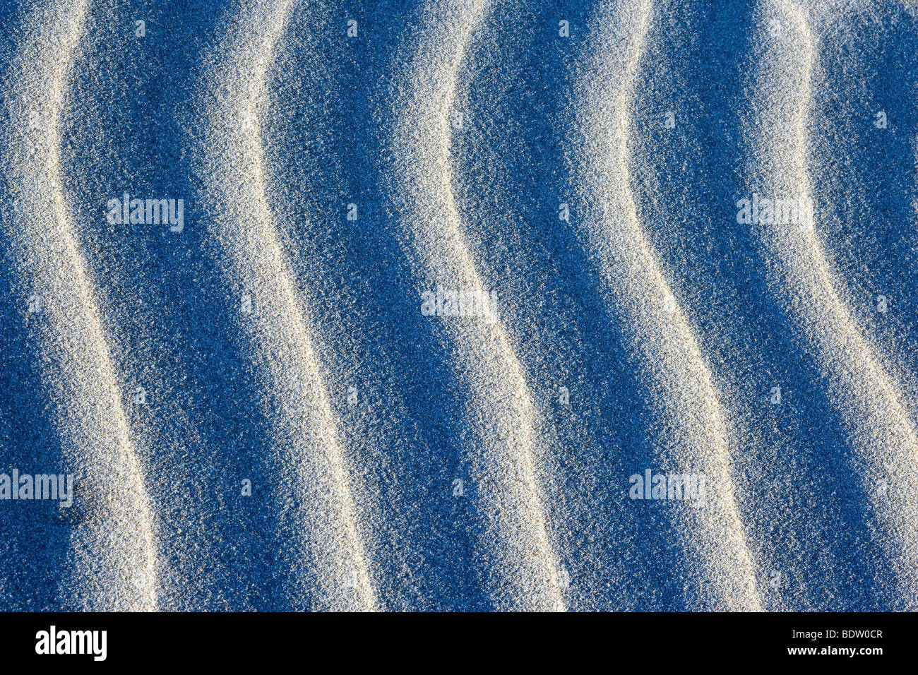 La sabbia di ondulazioni dovute alla luce e ombra, le ondulazioni di sabbia bianca di dune di sabbia in spiaggia Whaririki mostrano a vantaggio. Golden Bay Foto Stock