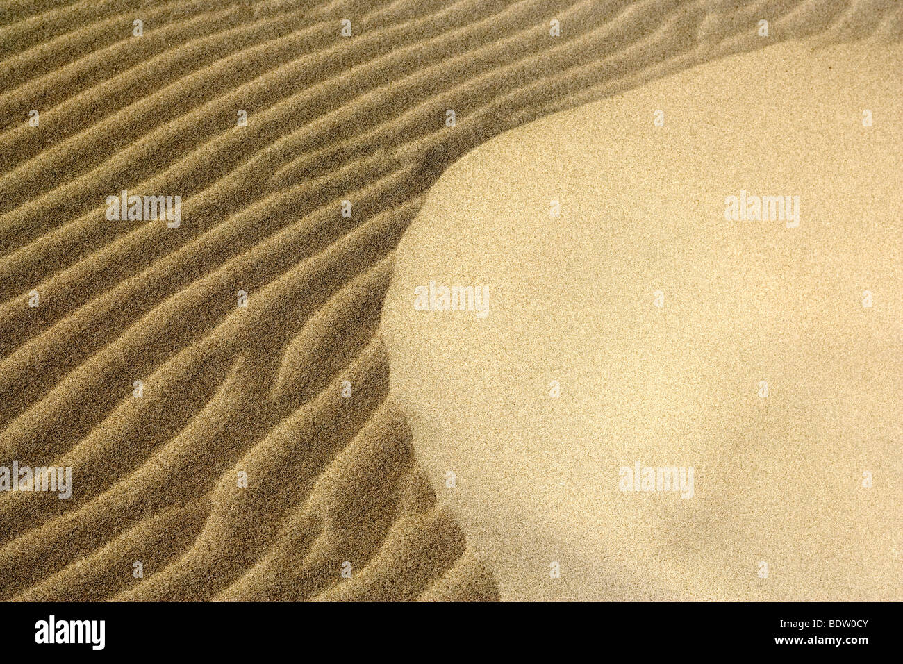 La sabbia di ondulazioni dovute alla luce e ombra, le ondulazioni di sabbia bianca di dune di sabbia in spiaggia Whaririki mostrano a vantaggio. Golden Bay Foto Stock