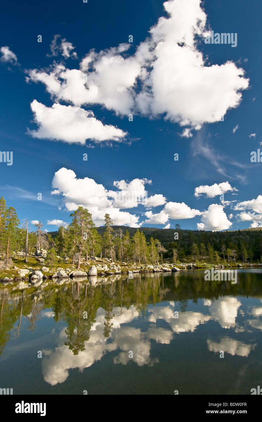 Nuvole di mirroring nel lago di montagna, riserva naturale, Svezia Foto Stock