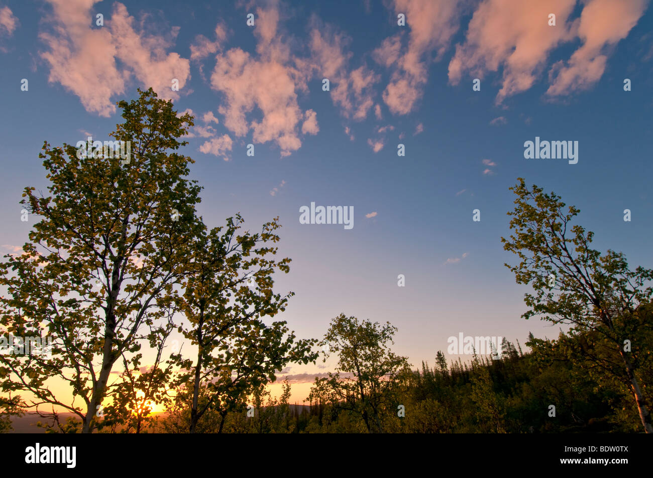 Landschaft Bei mitternachtssonne in gaellivare, lappland, SCHWEDEN, paesaggio al sole di mezzanotte in Lapponia, Svezia Foto Stock