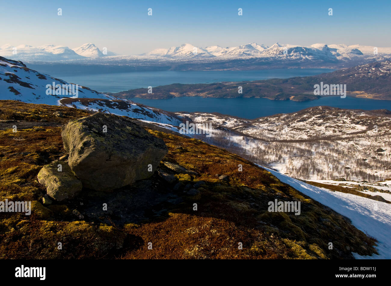 Le montagne ricoperte di neve, ofotfjord, Norvegia Foto Stock