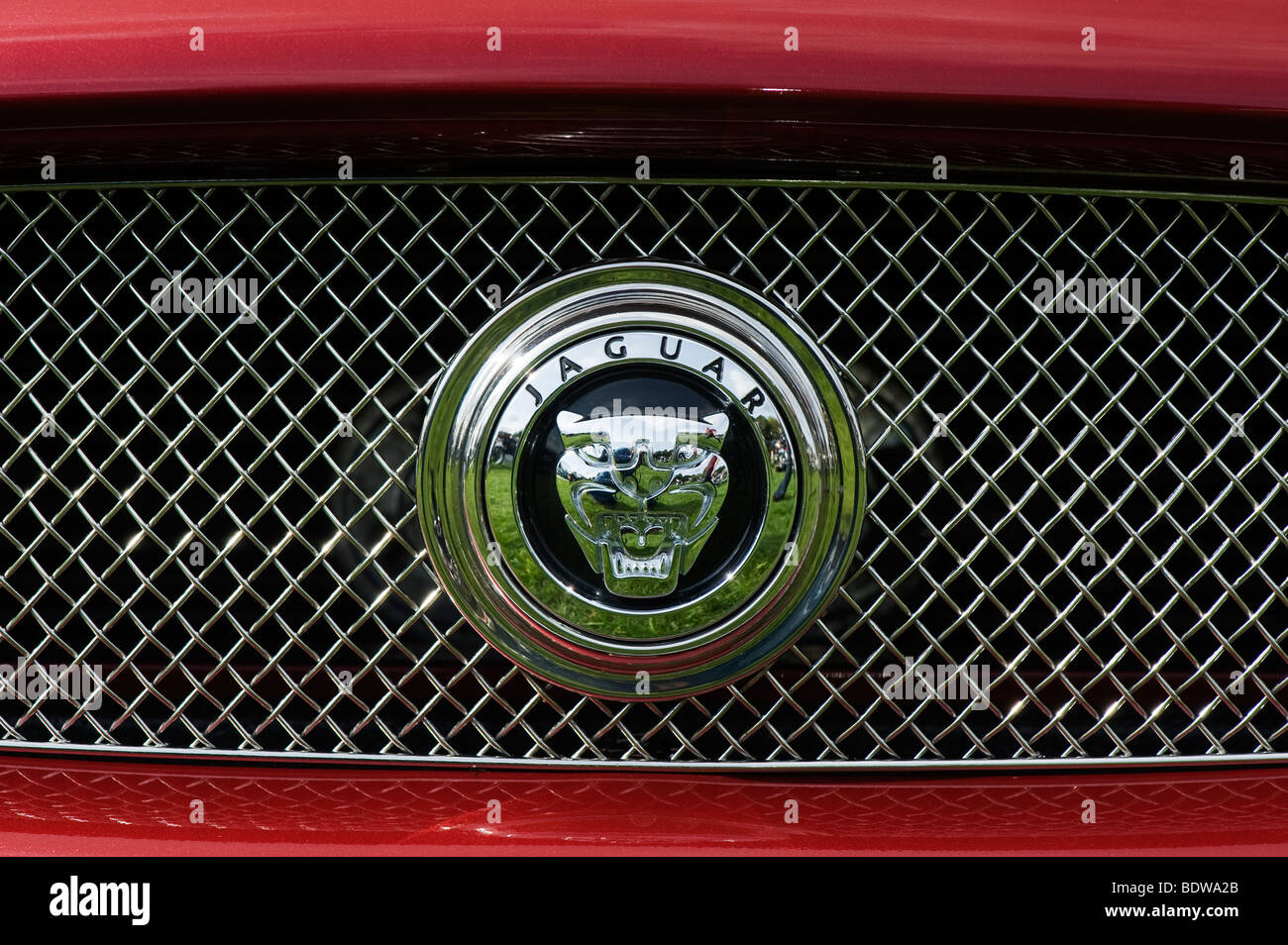 Jaguar XK griglia anteriore badge, Classic British Auto sportiva Foto Stock