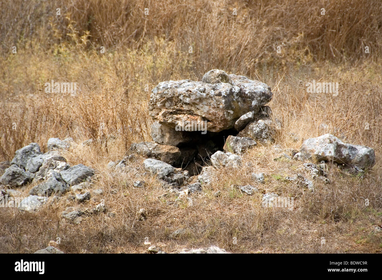 Un antico pozzo in pietra in Pigadia Keri, Zante, Grecia. Foto Stock