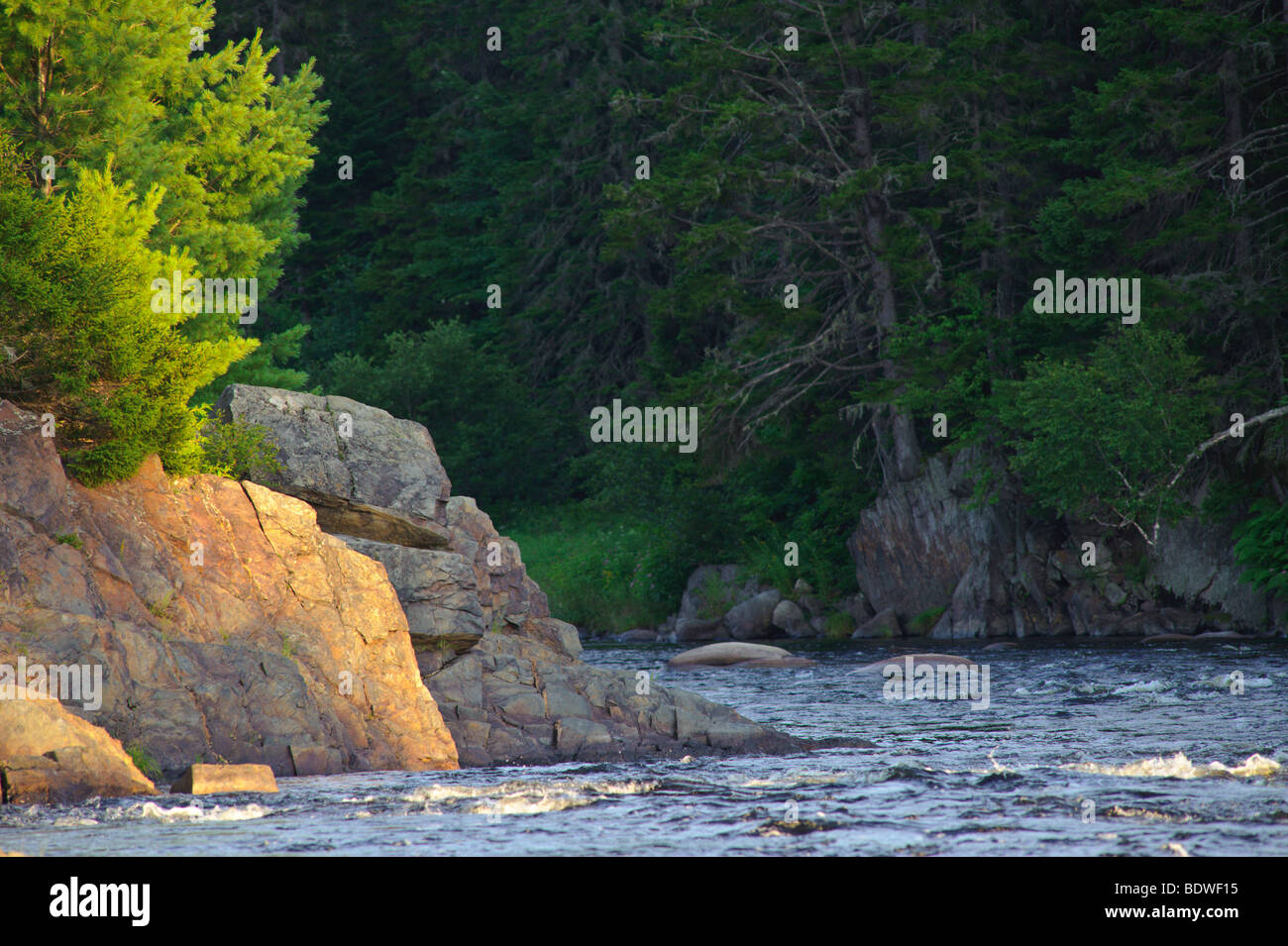 La pesca a Burnt collina a sud ovest Miramichi, New Brunswick Foto Stock