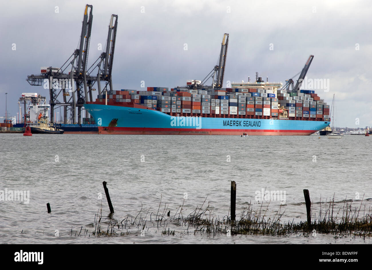La Arnold Maersk Container nave ormeggiata nel porto di Southampton, Hampshire, Inghilterra, Regno Unito. Foto Stock