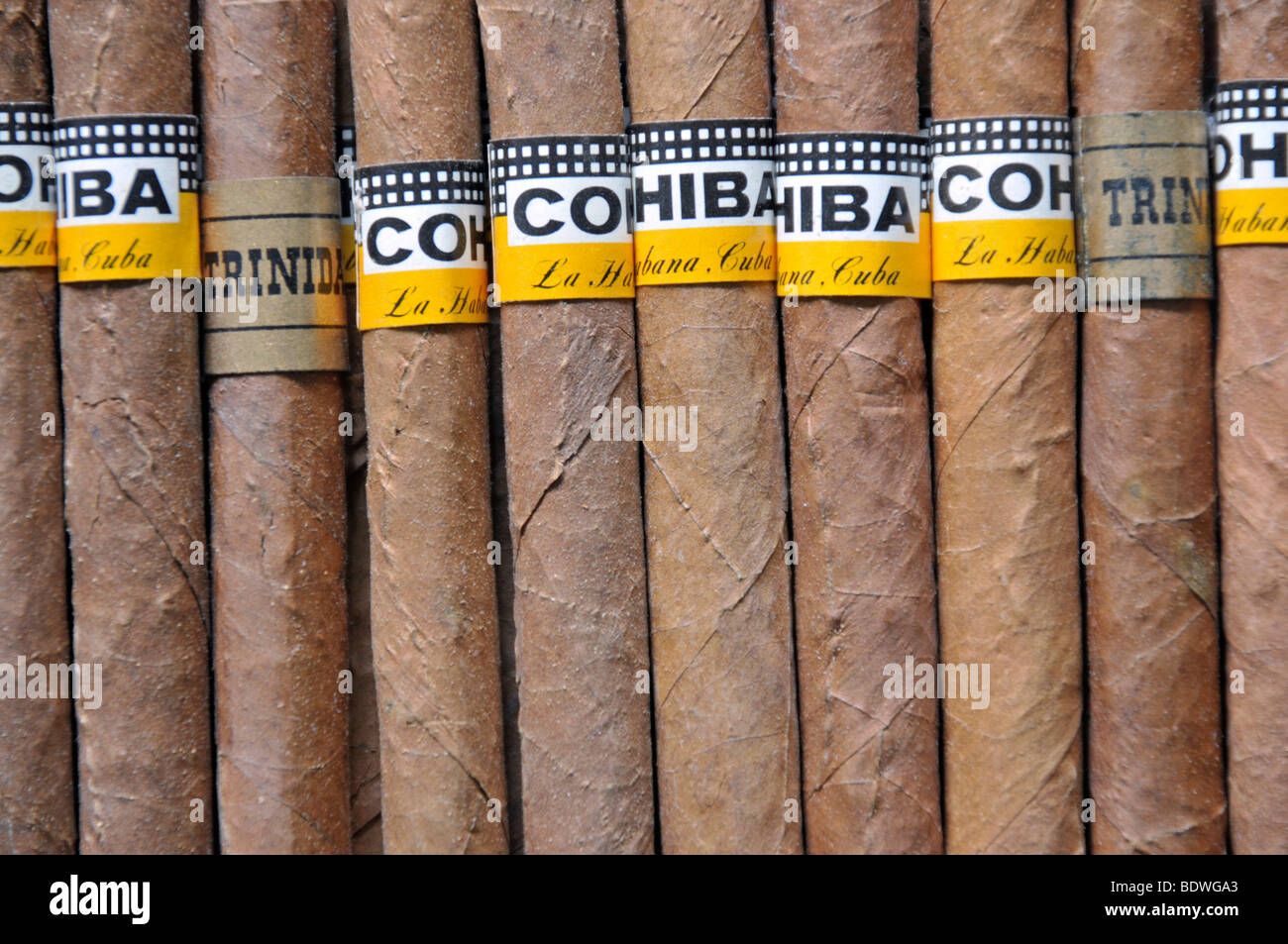 Sigari cubani immagine stock editoriale. Immagine di cuba - 60255449
