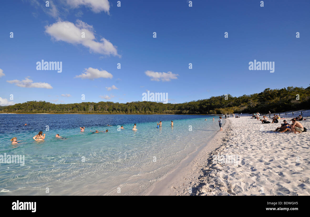 I turisti nuotare nel Lago McKenzie, patrimonio Unesco, l'Isola di Fraser, Great Sandy National Park, Queensland, un Foto Stock
