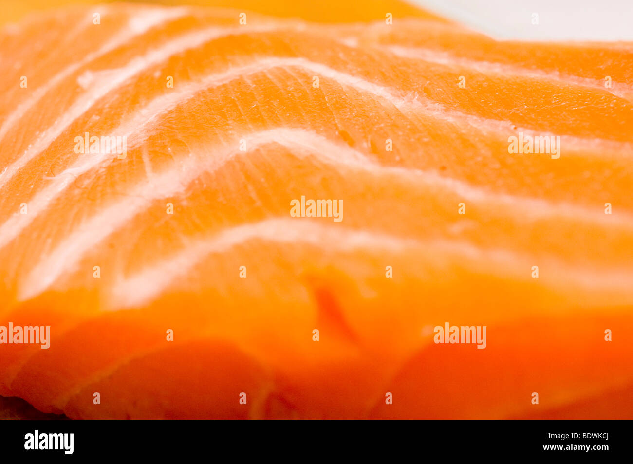 Salmone crudo di filetto di pesce Foto Stock
