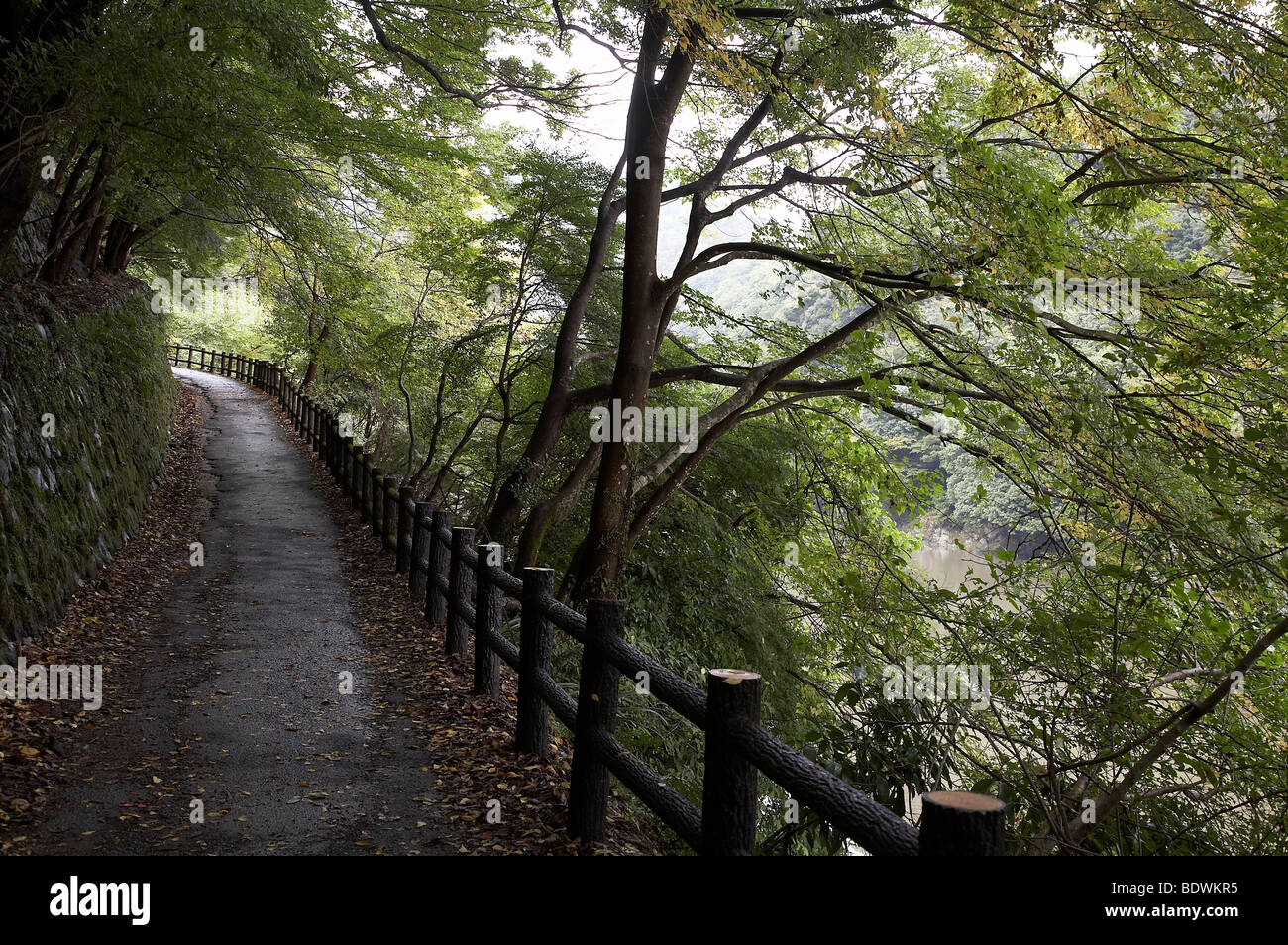 Giappone Arashiyama, nei pressi di Kyoto. foto di Sean Spraqgue 2008 Foto Stock