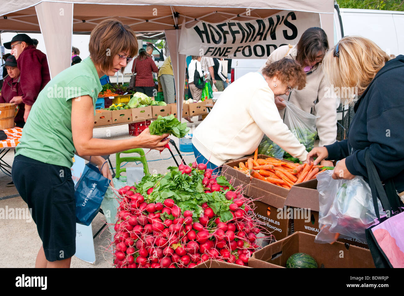 Acquisto di verdure al Fort Garry farmers market vicino a Winnipeg, Manitoba, Canada. Foto Stock