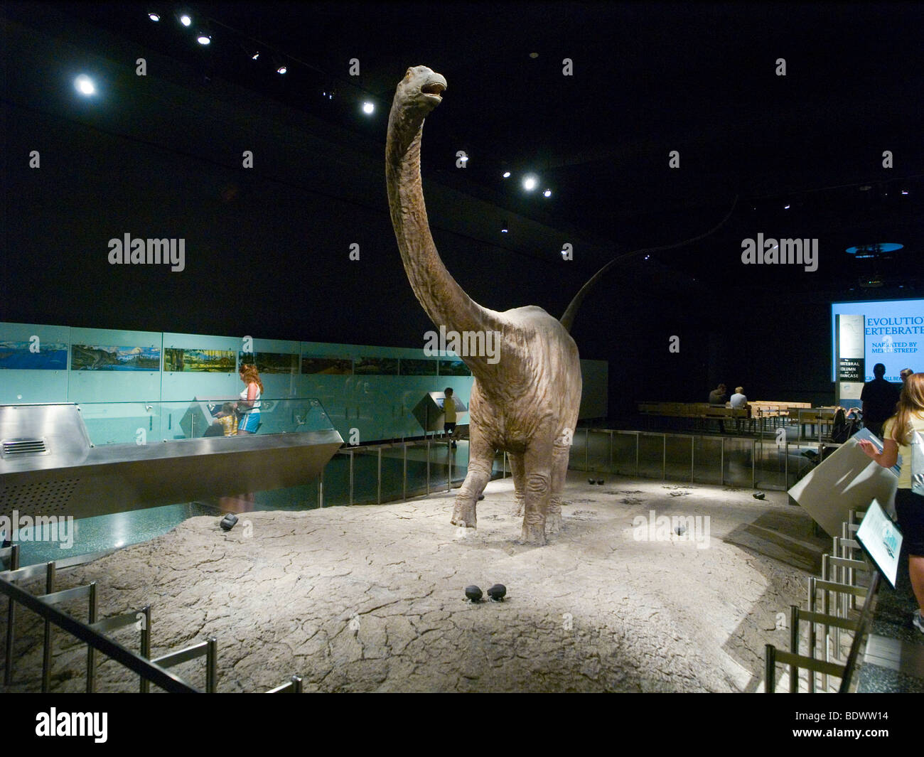 Un dinosauro mostra al Museo Americano di Storia Naturale di New York City STATI UNITI D'AMERICA Foto Stock