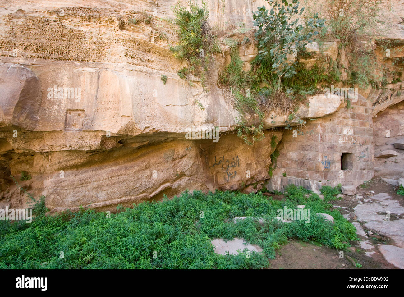 Molla di Lawrences o Ain Shalaaleh nel Wadi Rum Giordania Foto Stock
