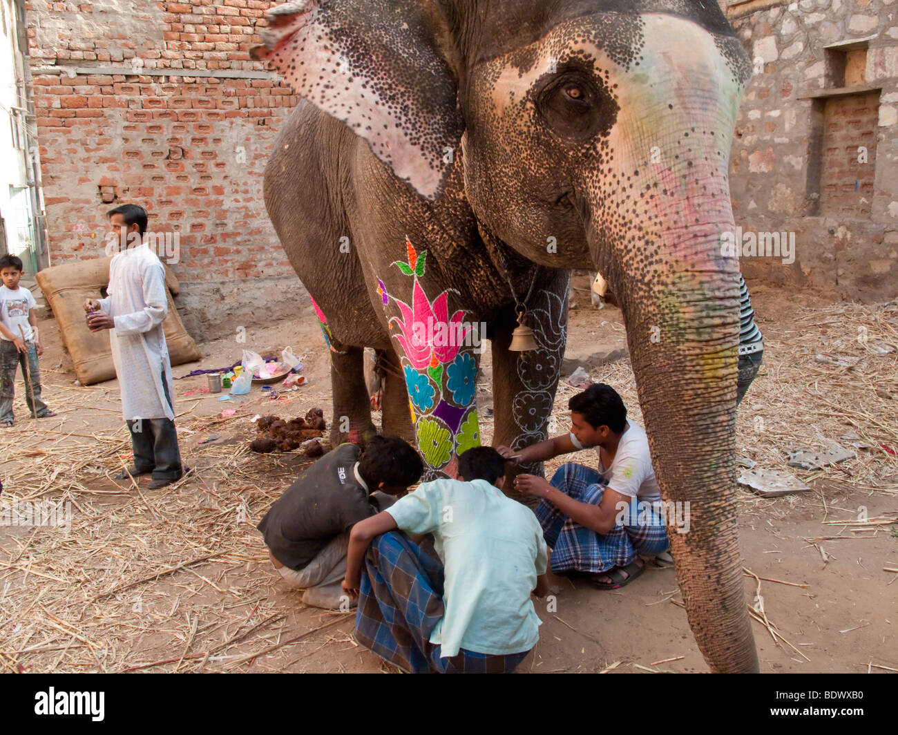 Artisti preparare un elefante per l'annuale festival di elefante e sfilata dal dipinto l'animale a Jaipur, India Foto Stock