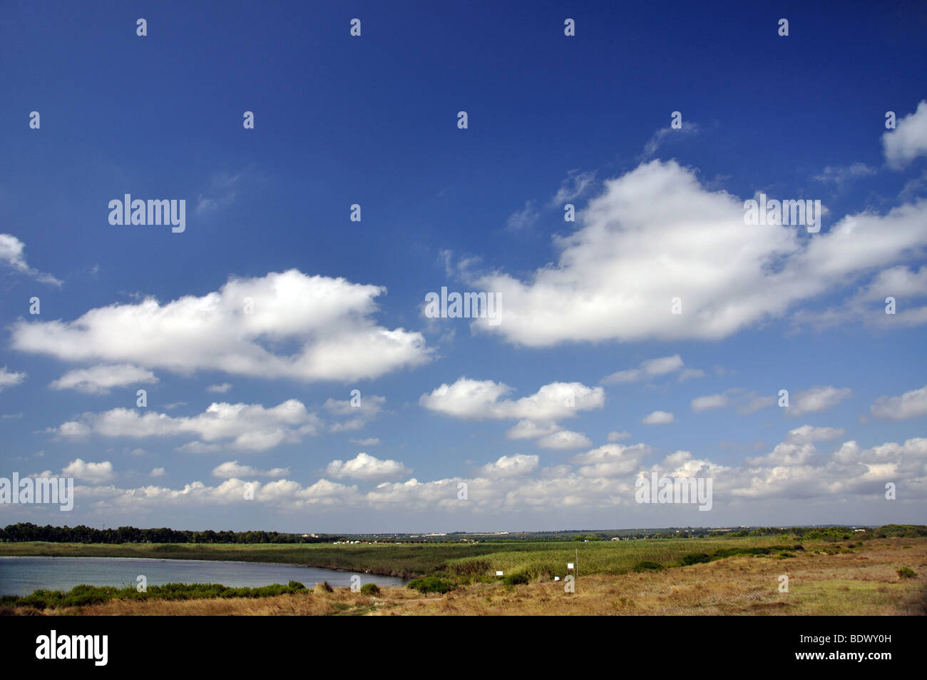 Vista costiera, riserva naturale Torre Guaceto, provincia di Brindisi, regione Puglia, Italia Foto Stock