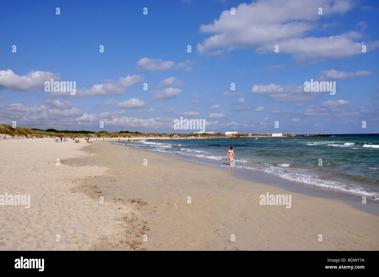 Vista della spiaggia, Torre Guaceto Riserva Naturale della Provincia di Brindisi, Puglia, Italia Foto Stock