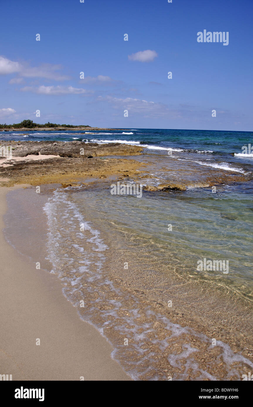 Vista della spiaggia, Torre Guaceto Riserva Naturale della Provincia di Brindisi, Puglia, Italia Foto Stock