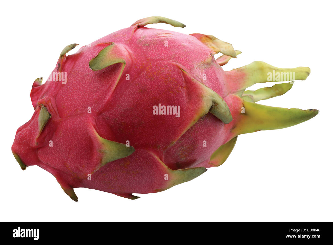 frutta del drago Foto Stock