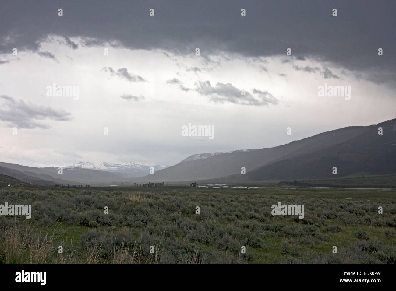 Avvicinando la tempesta, Lamar Valley, il Parco Nazionale di Yellowstone, Wyoming USA Foto Stock