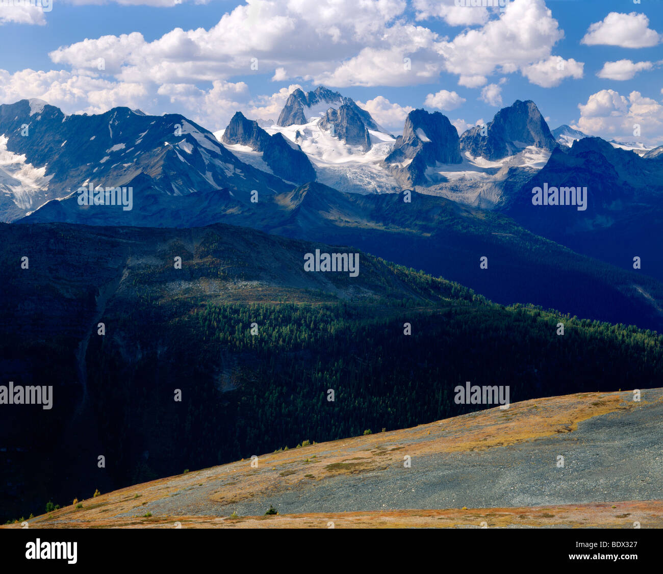 Bugaboo gamma di Purcell Montagne in British Columbia Canada Foto Stock