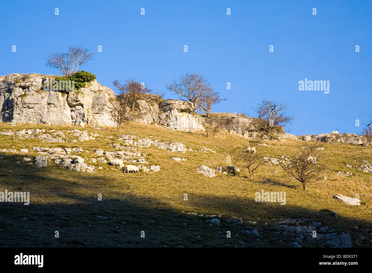 Una rupe calcarea contro un cielo blu sopra Ricklow Dale nel Derbyshire Foto Stock