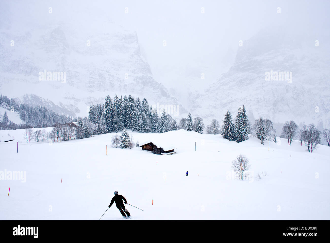 Sci durante la tempesta di neve a Grindelwald, Svizzera. Foto Stock