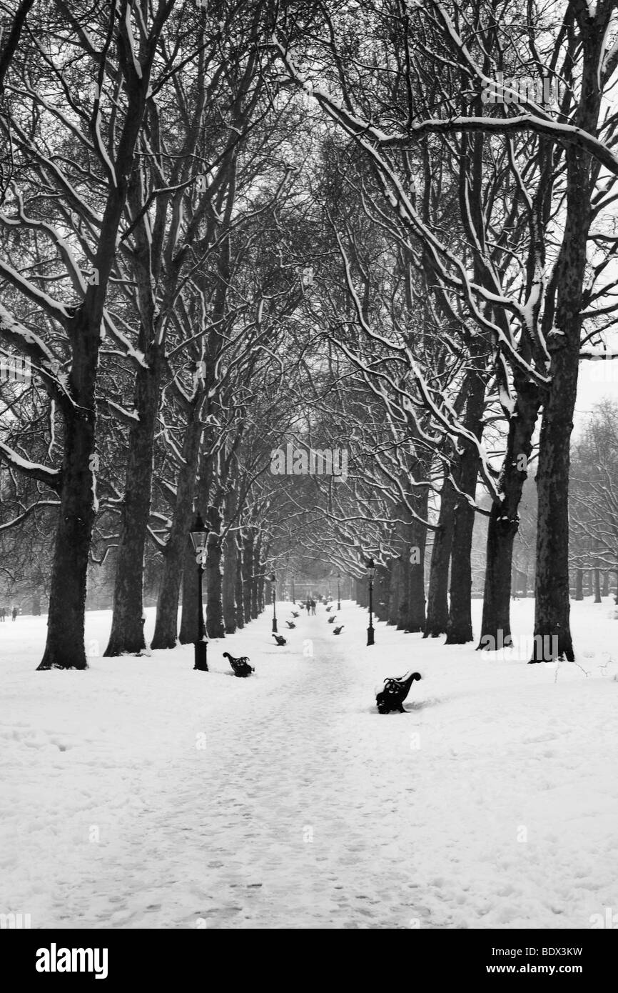 Londra: GREEN PARK nella neve Foto Stock
