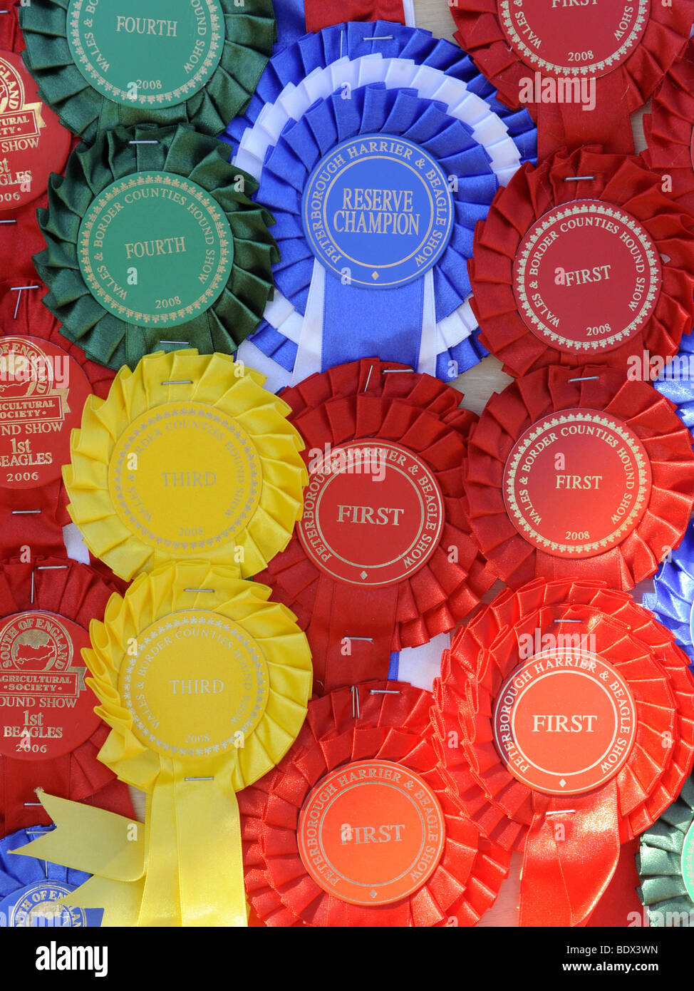 Premiato il bestiame, una selezione del campione di rosette da un paese mostra Foto Stock