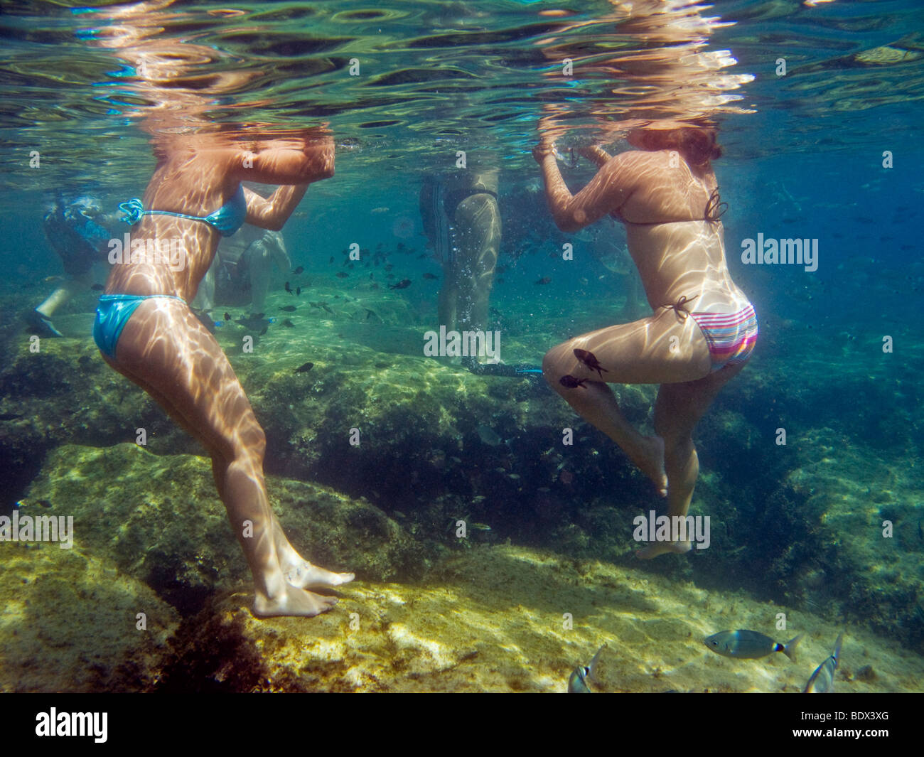 La gente la balneazione a Fig Tree Bay, Cipro. Il pesce in mare sono così utilizzati per gli esseri umani che è possibile la loro alimentazione a mano. Foto Stock