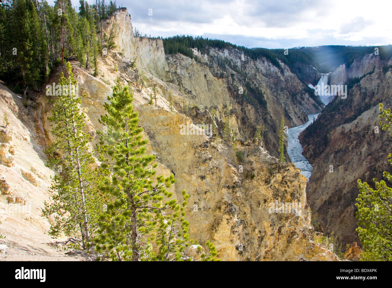 Le cascate Inferiori di Yellowstone River al Grand Canyon, Wyoming USA Foto Stock
