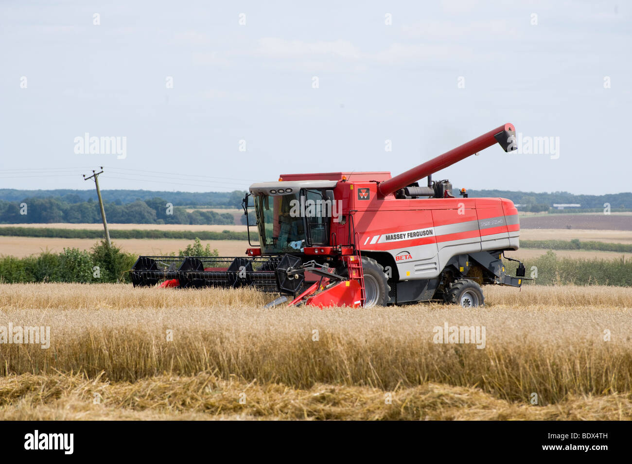 Albero Per Mietitrebbia AGCO Massey Ferguson 71144859 | Nuovo In Stoccaggio