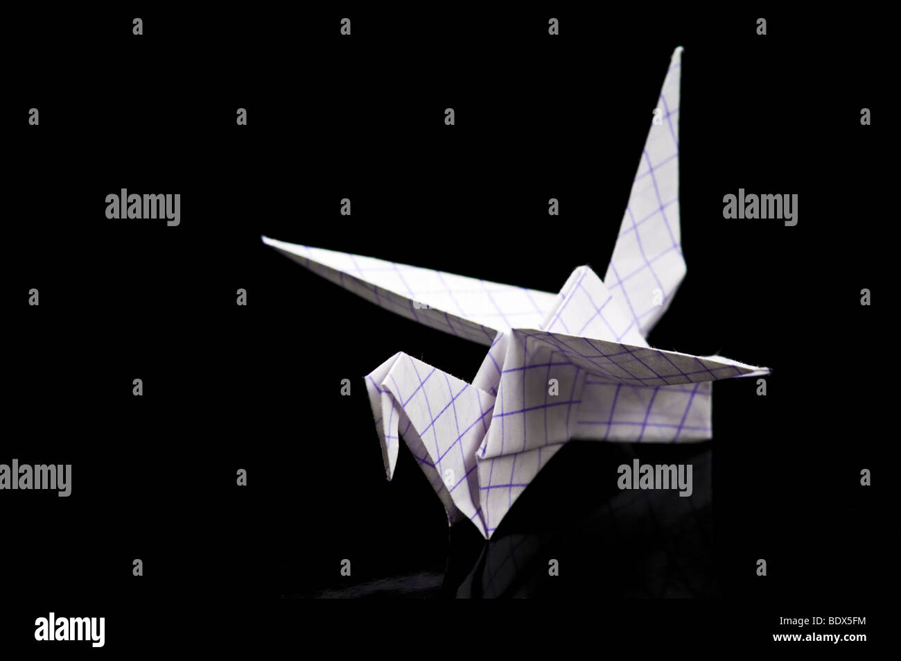 Una carta origami gru su nero Foto Stock
