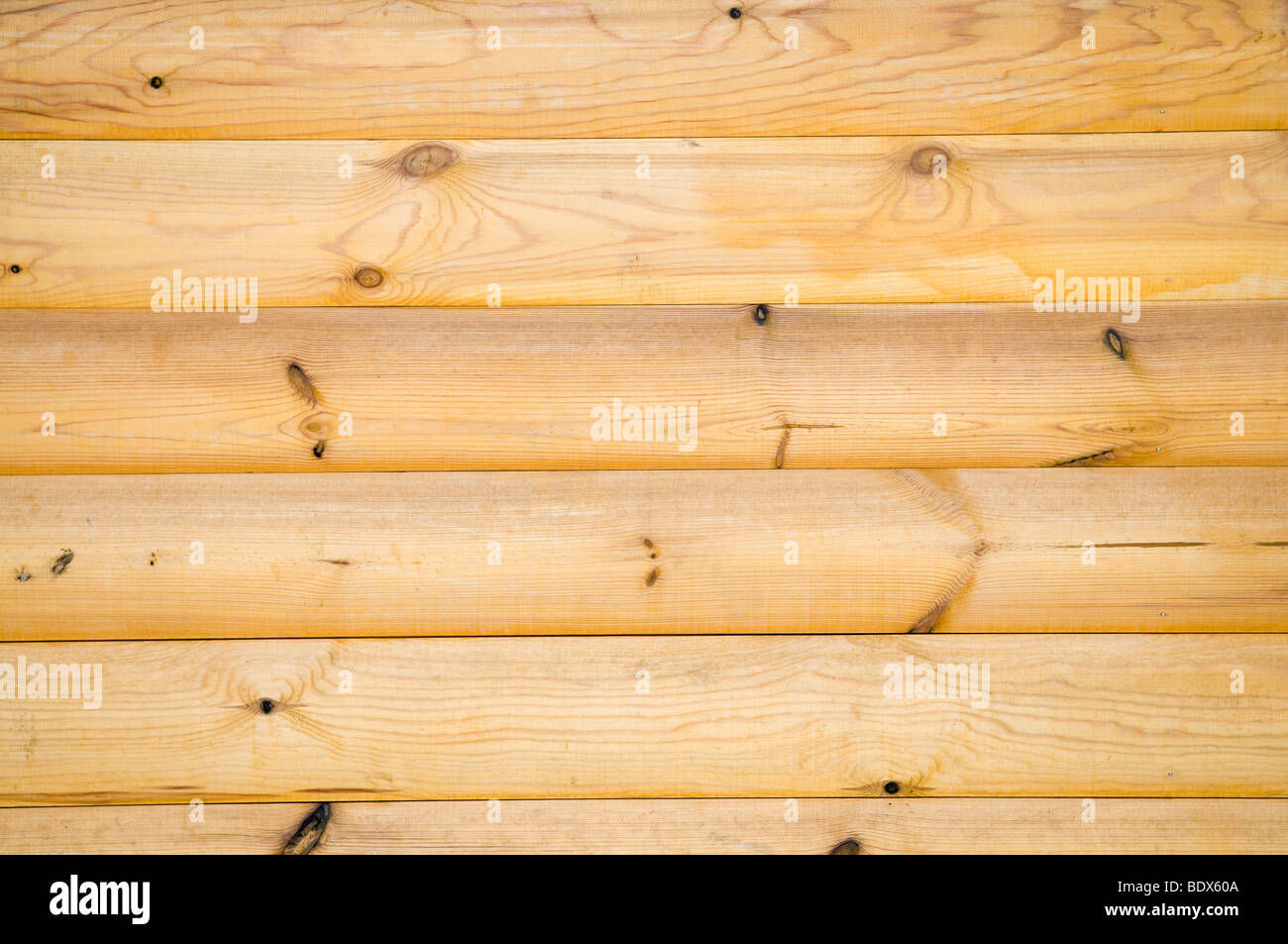 La configurazione di sfondo di pino naturale parete esitano di fronte Foto Stock