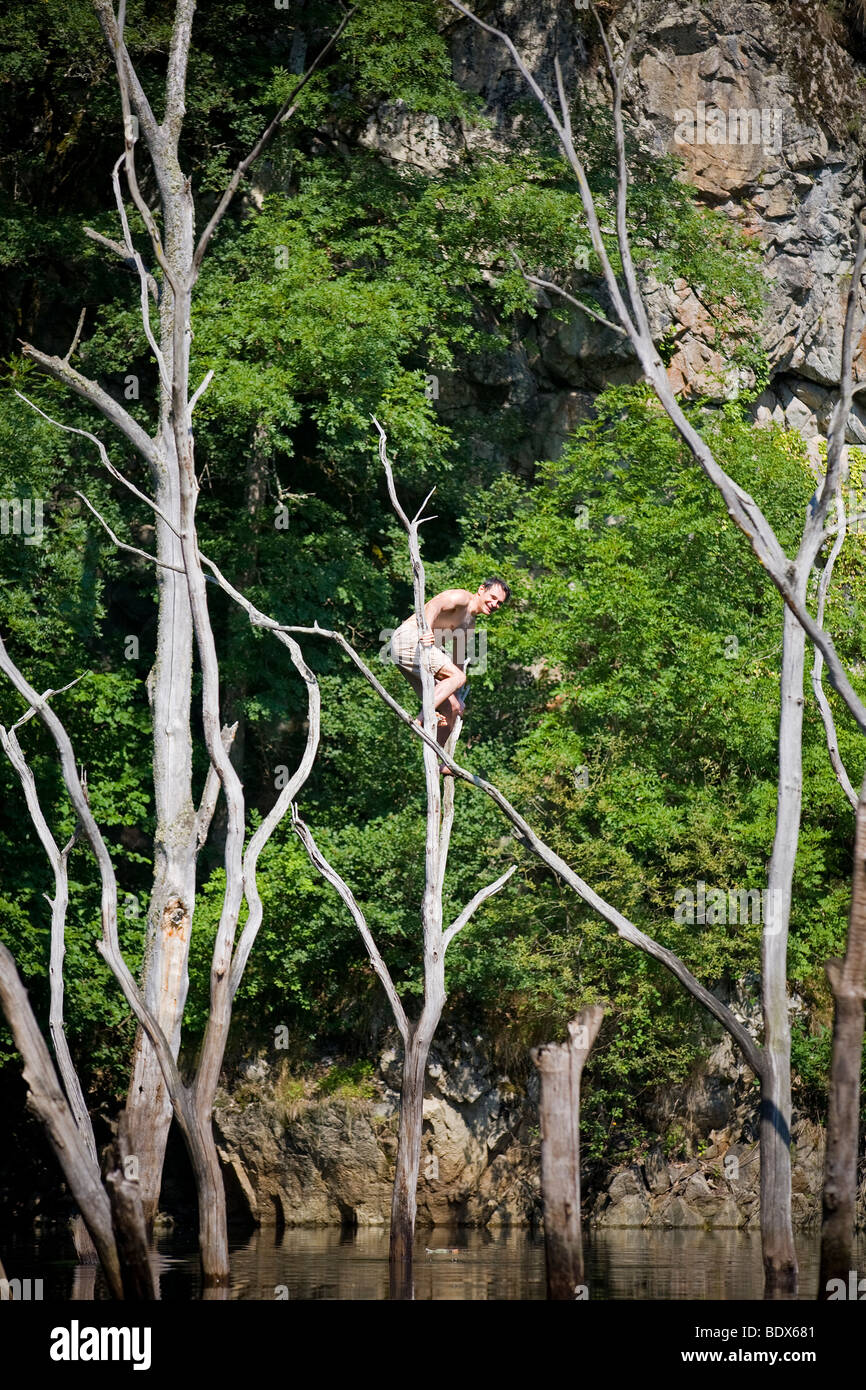 Un uomo appollaiato su un albero morto sopra il fiume Sioule (Puy de Dôme - Francia). Homme perché dans un arbre mort. Foto Stock