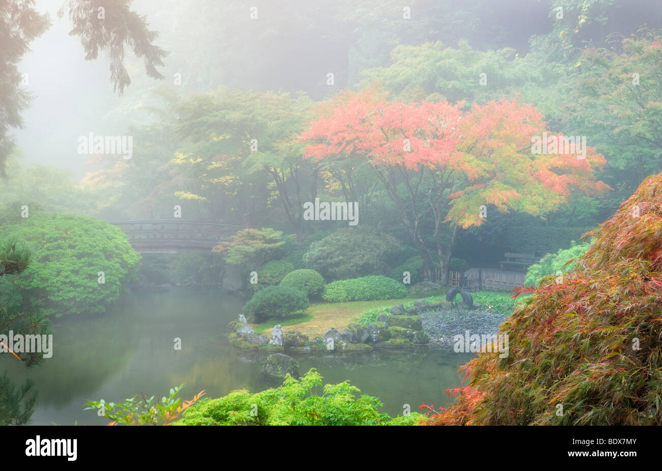 Giardini giapponesi nella nebbia con Autunno a colori. Portland, Oregon. Foto Stock