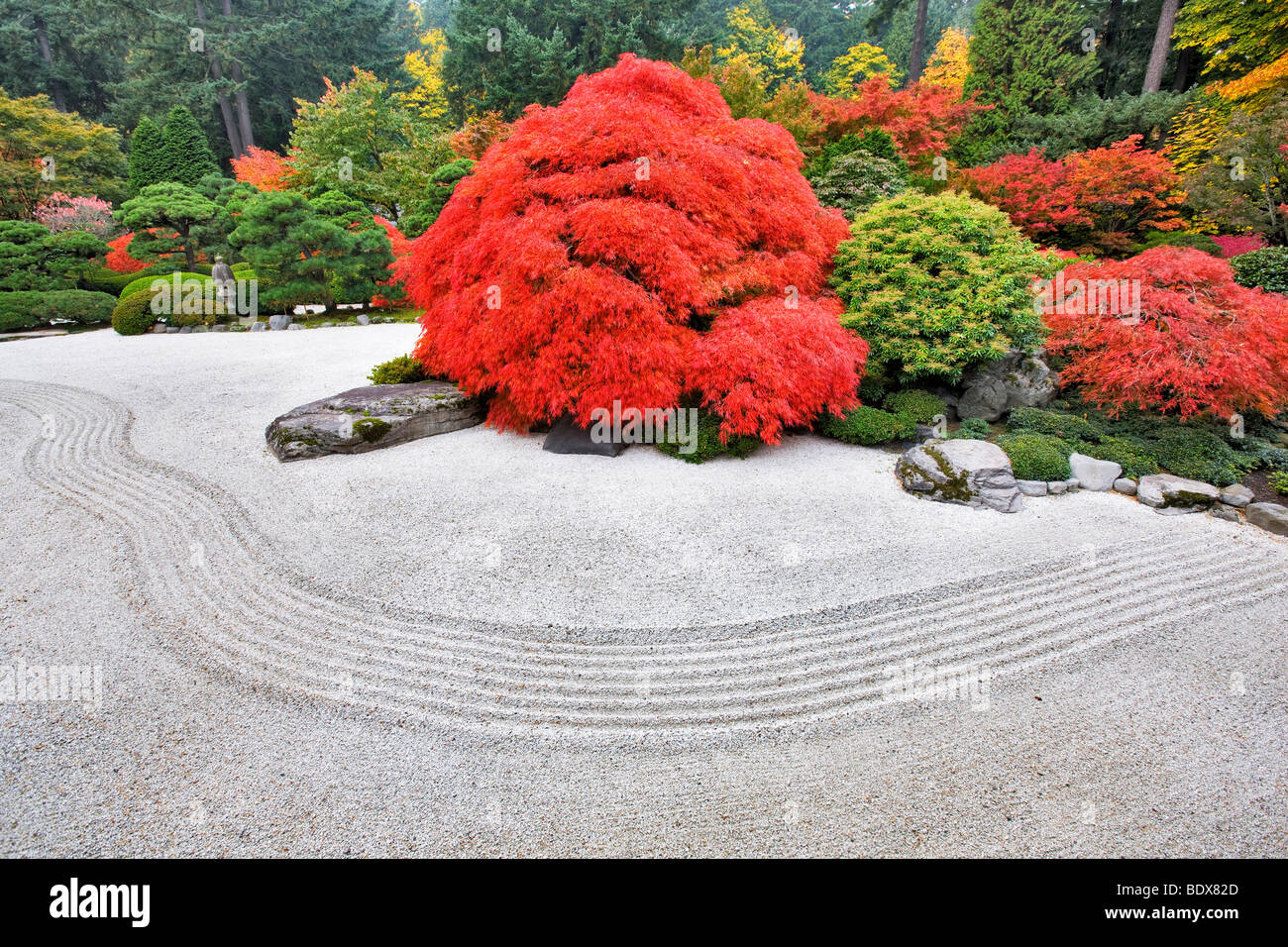 Giardino di roccia con Autunno a colori. Portland Giardini Giapponesi. Oregon Foto Stock