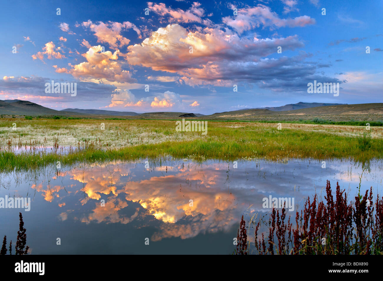 Tramonto nubi sul laghetto. Black Rock Desert National Conservation Area. Nevada Foto Stock