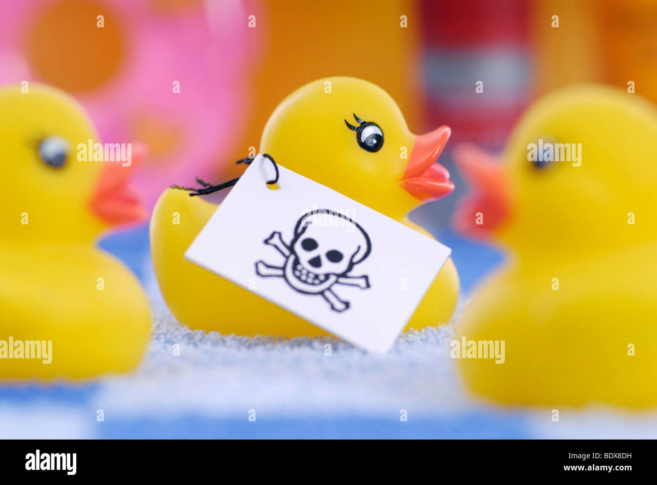 Rubber Duck con cranio-etichetta, veleni nella gomma e prodotti in plastica Foto Stock